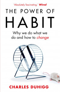 Image of THE POWER OF HABIT : why we do what we do and how to change