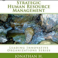 Image of Strategic Human Resource Management: Leading Innovative organizations Series